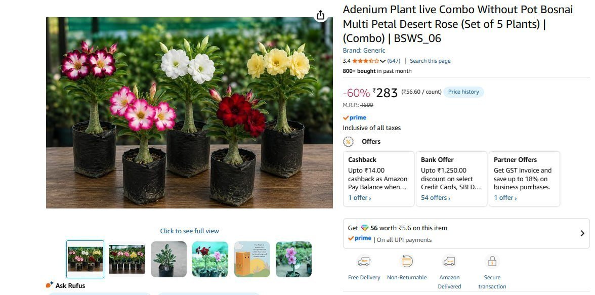 Adenium Live Plant Combo Set Of 5 283