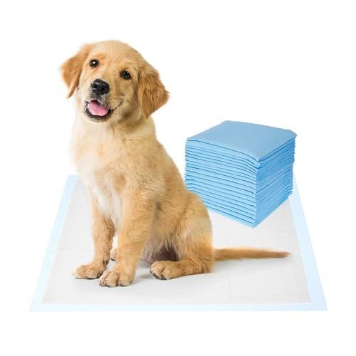Amazon Basics Dog And Puppy Pee Pads Pack Of 