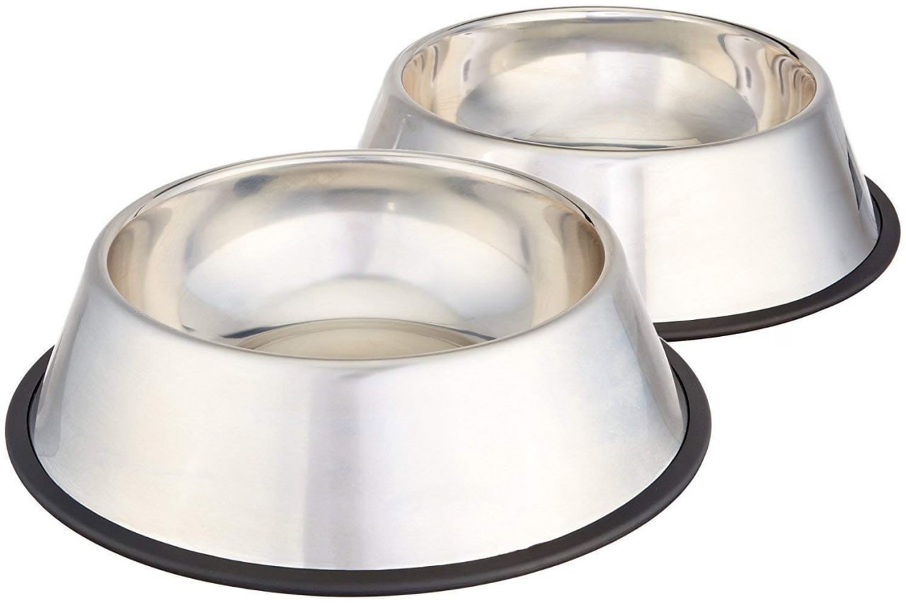 Amazon Flat 76 On Pets Empire Stainless Steel