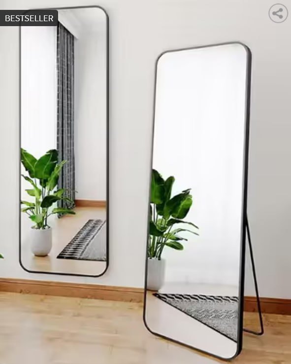 Artment Frame Floor Mirror 5 500 Mrp 20 000 S