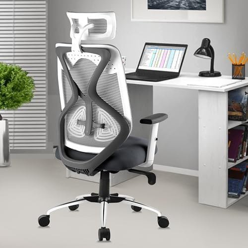 Astride Ergofit Ergonomic Office Chair For Ho