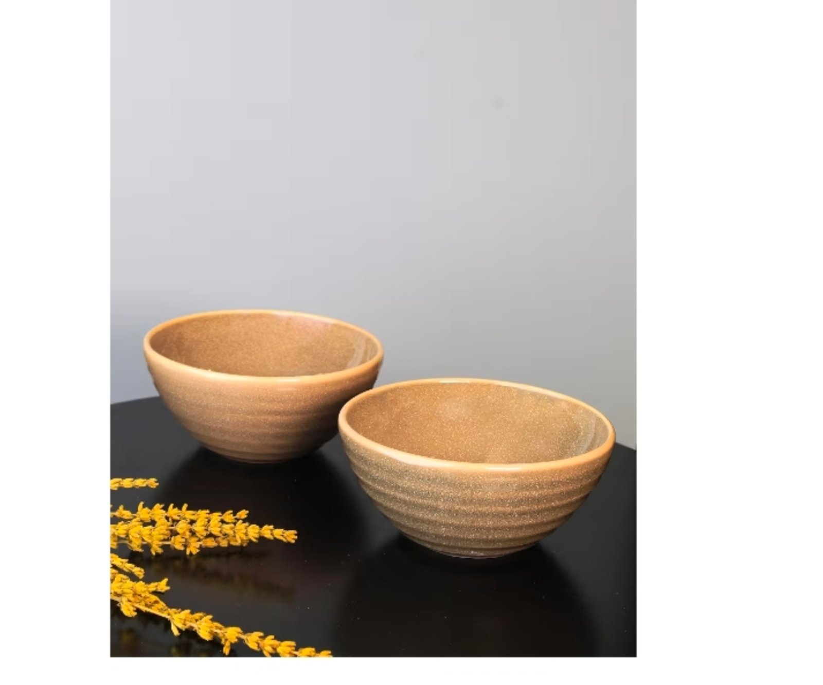 Big Bowl Set Of 2 Aesthetic Design 307 Pc Other Co