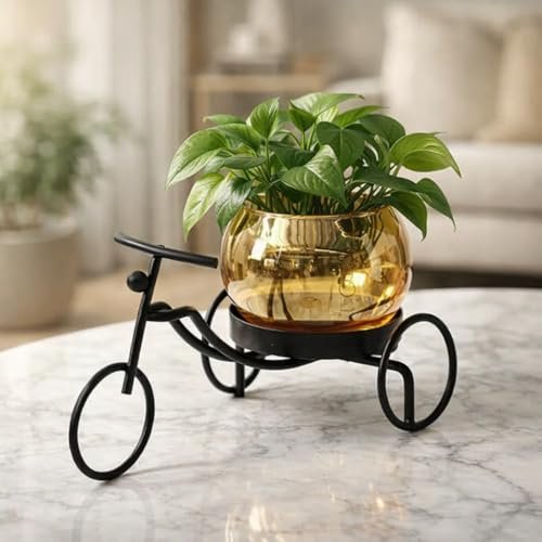 Centralit Decorative Metal Tricycle Planter F