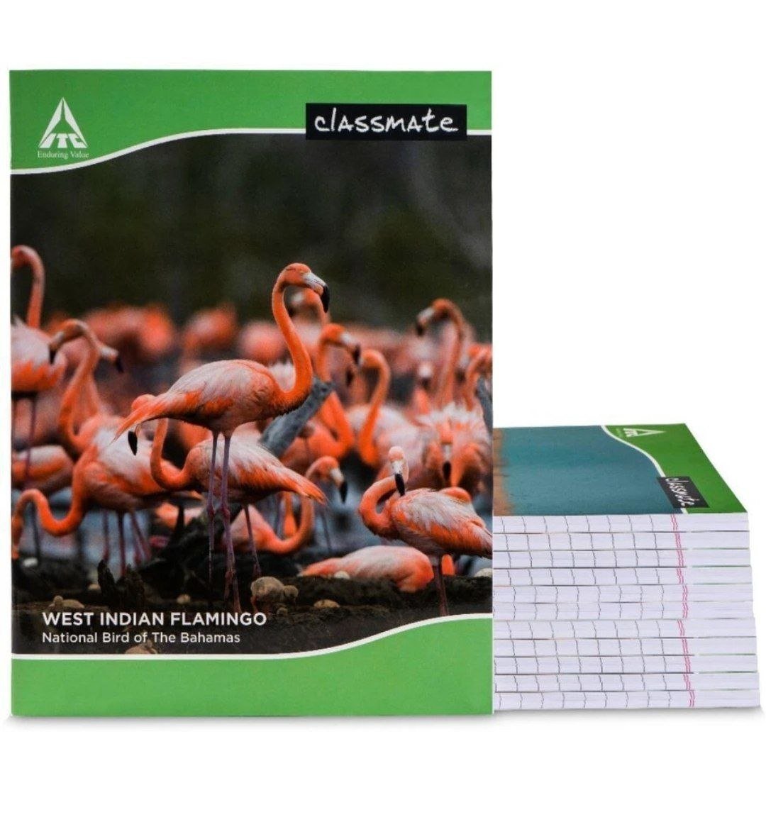 Classmate Notebook Regular Notebook Single Line 17