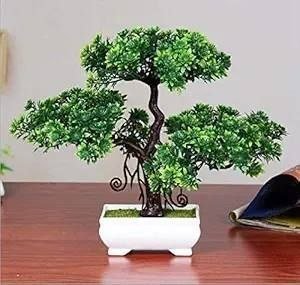 Dekorly Artificial Bonsai With Plastic Pot At