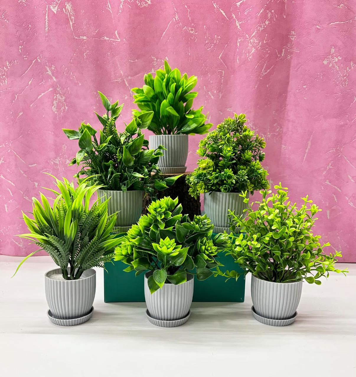 Dekorly Plastic 6 Packs Fake Plants Small Mini Art