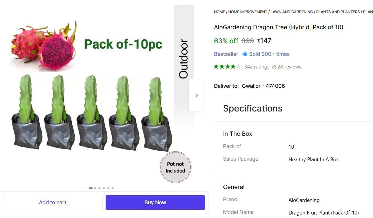 Dragon Tree (hybrid Pack Of 10) 147