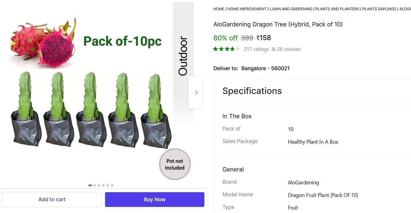 Dragon Tree (hybrid Pack Of 10) 158