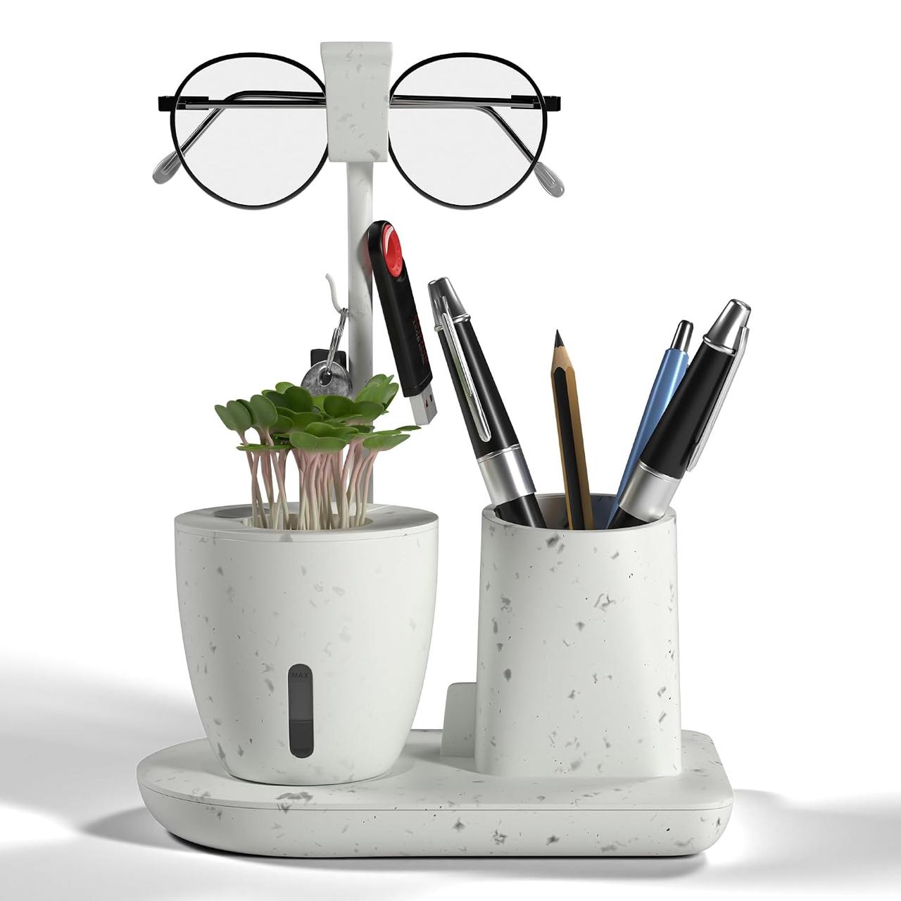 Eo Pen Stand For Study Table Self Watering Pl