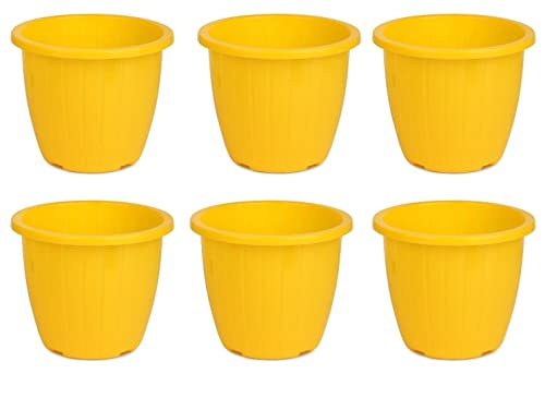 Gtb Set Of 6 Duro Flower Pot 8 Inches For Gardenin