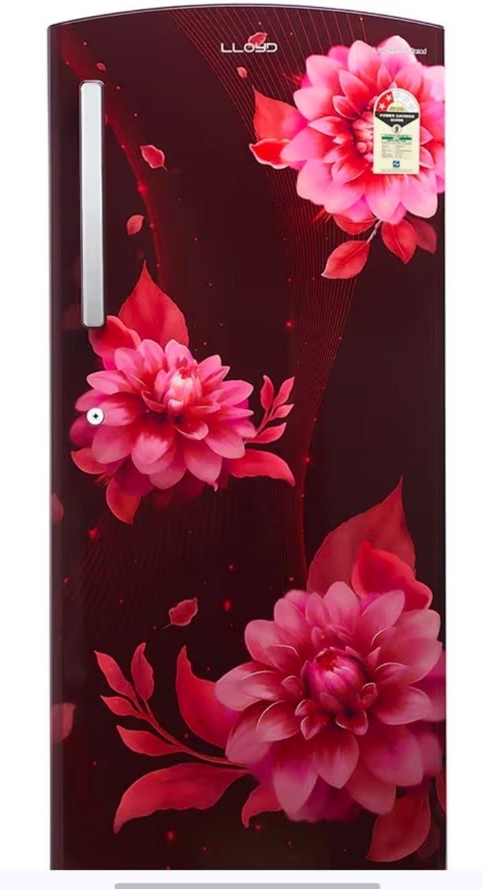 Havells Lloyd Refrigerator 225l At 16 500 2 0