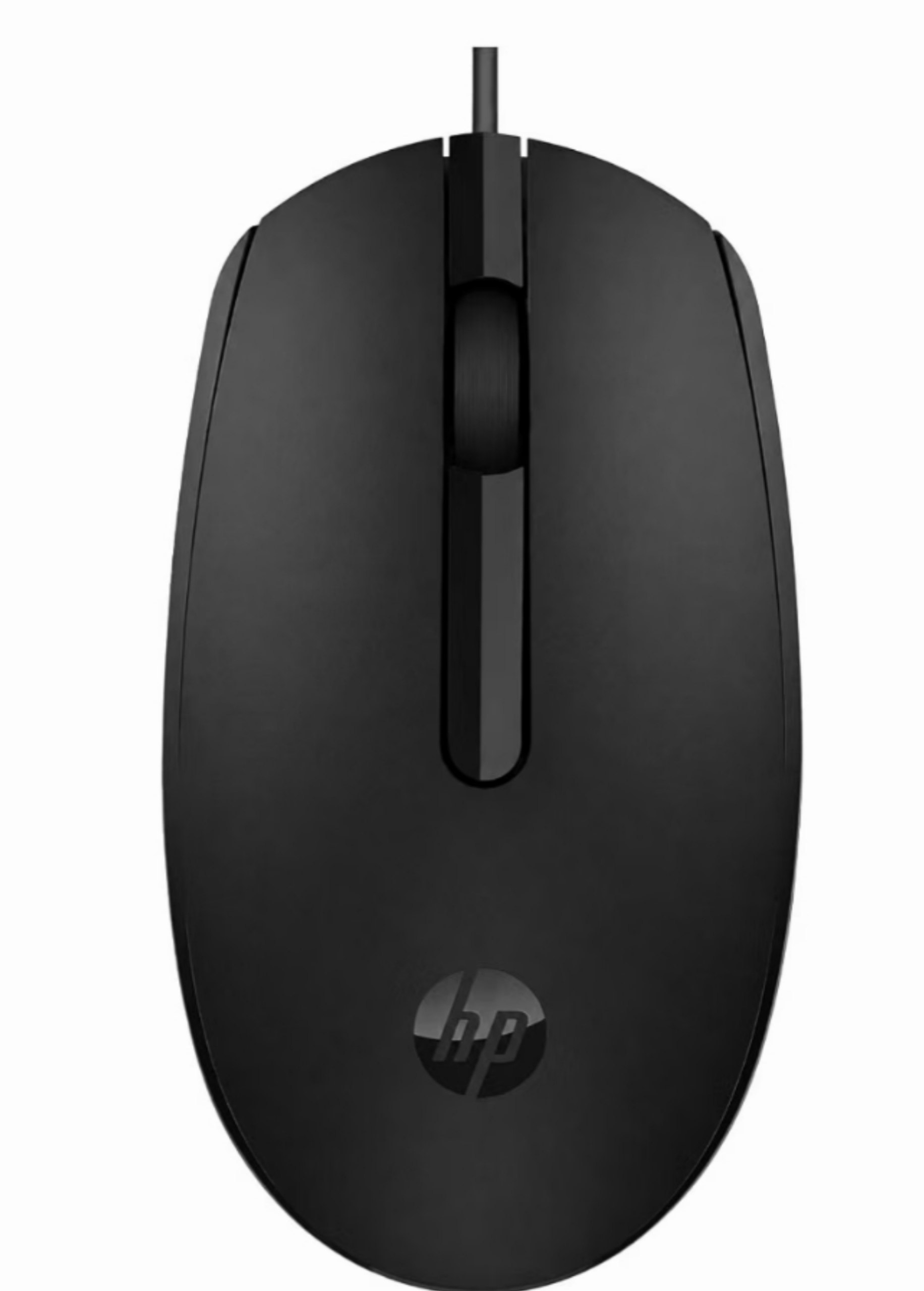 Hp M10 Wired Usb Mouse At 215