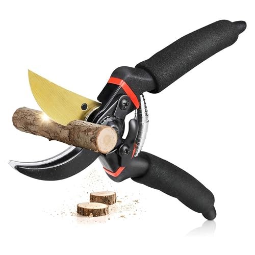 Jd Fresh 8 Inch Heavy Duty Gardening Scissor Plant