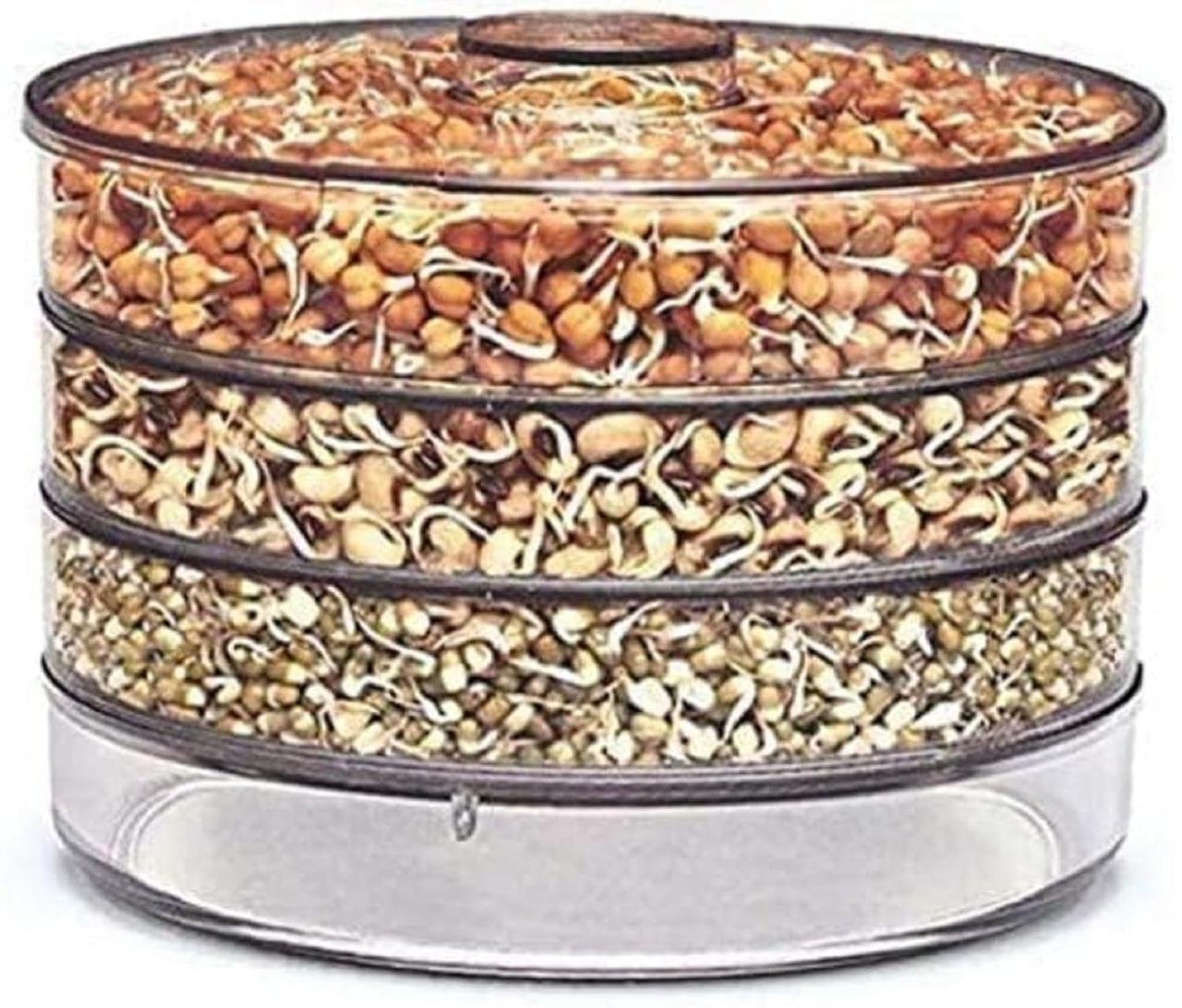 Kesi Ornaments Sprout Maker With 4 Compartmen