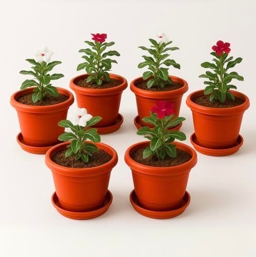 Kraft Seeds 10 Inch Pack Of 6 Flower Pots For
