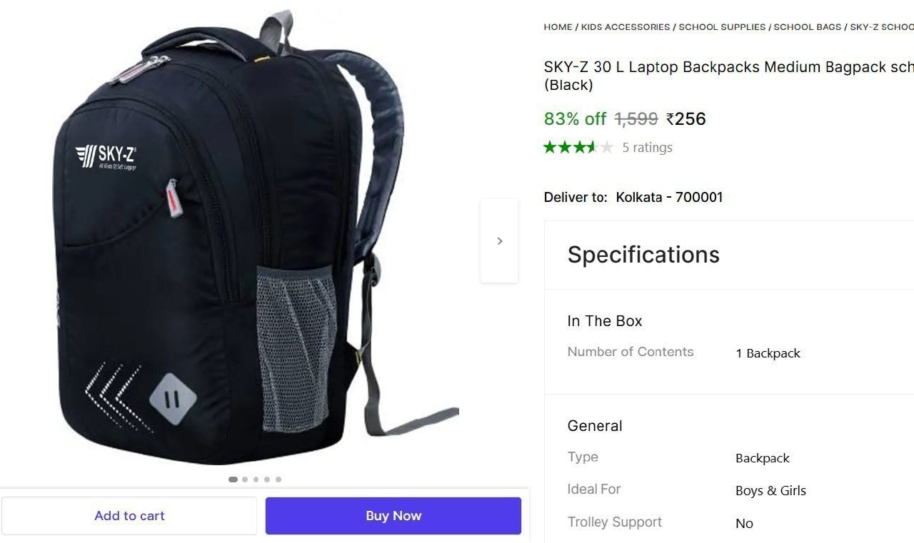 Laptop Backpacks 256