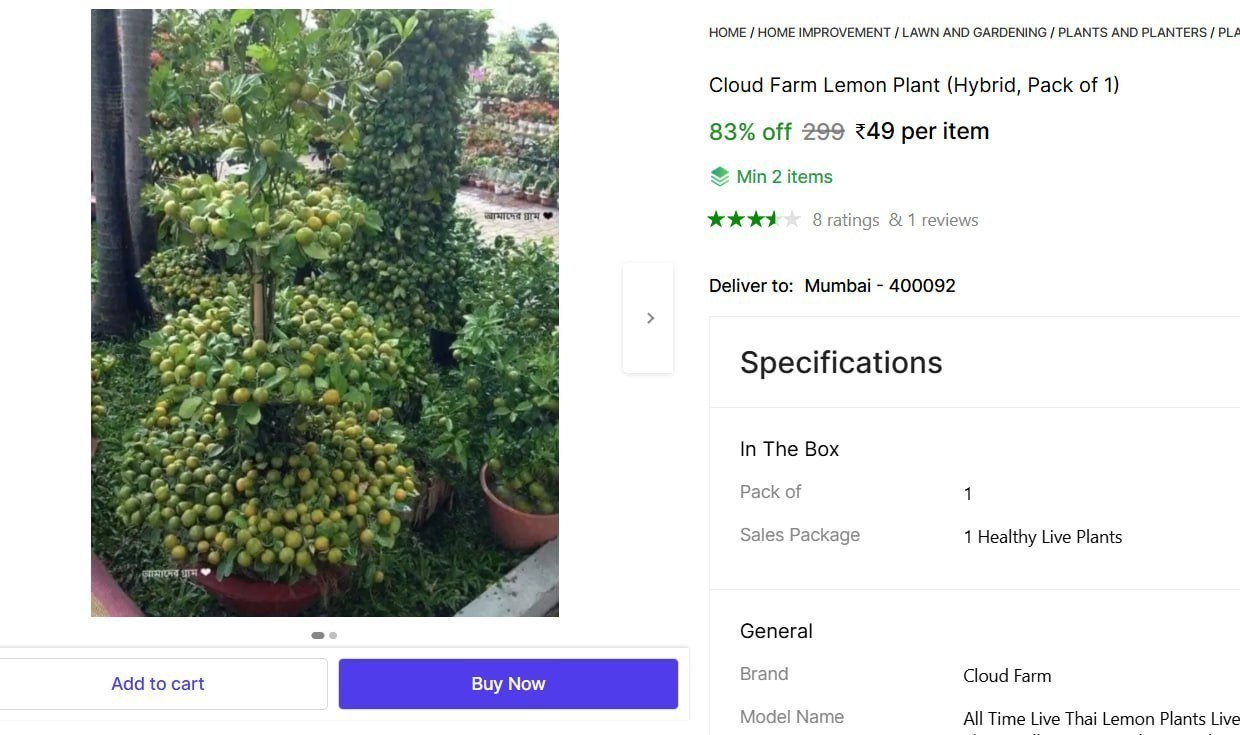 Lemon Plant (hybrid Pack Of 1) 49