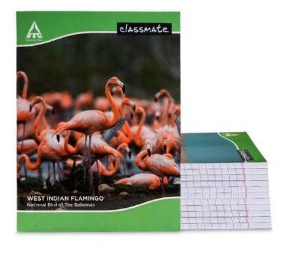 Pack Of 12 292