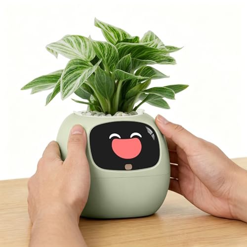 Plantsio Ivy Interactive Ai Desk Companion Sm
