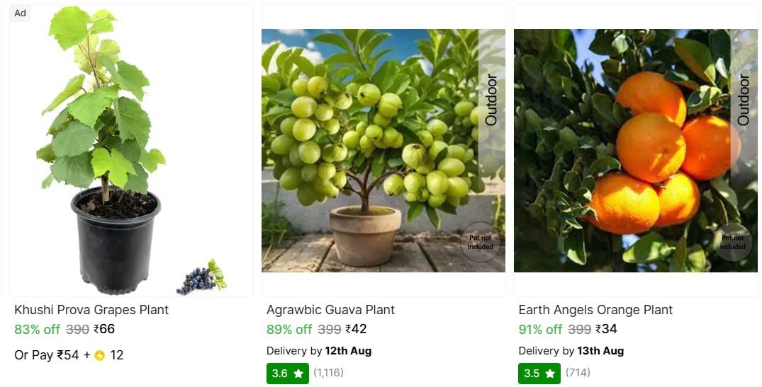 Shopsy Gardening Essentials From 34