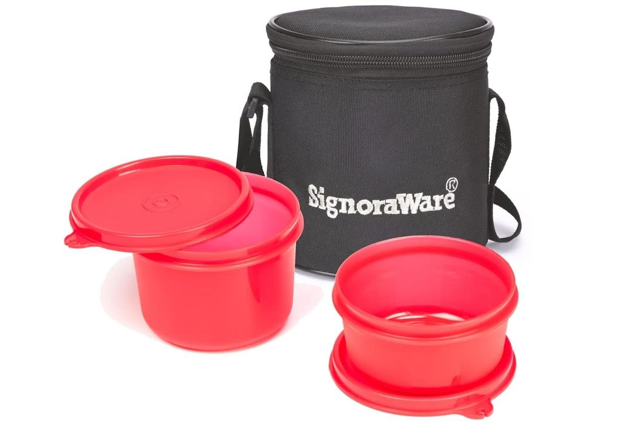 Signoraware Executive Plastic Small Lunch Box Set 