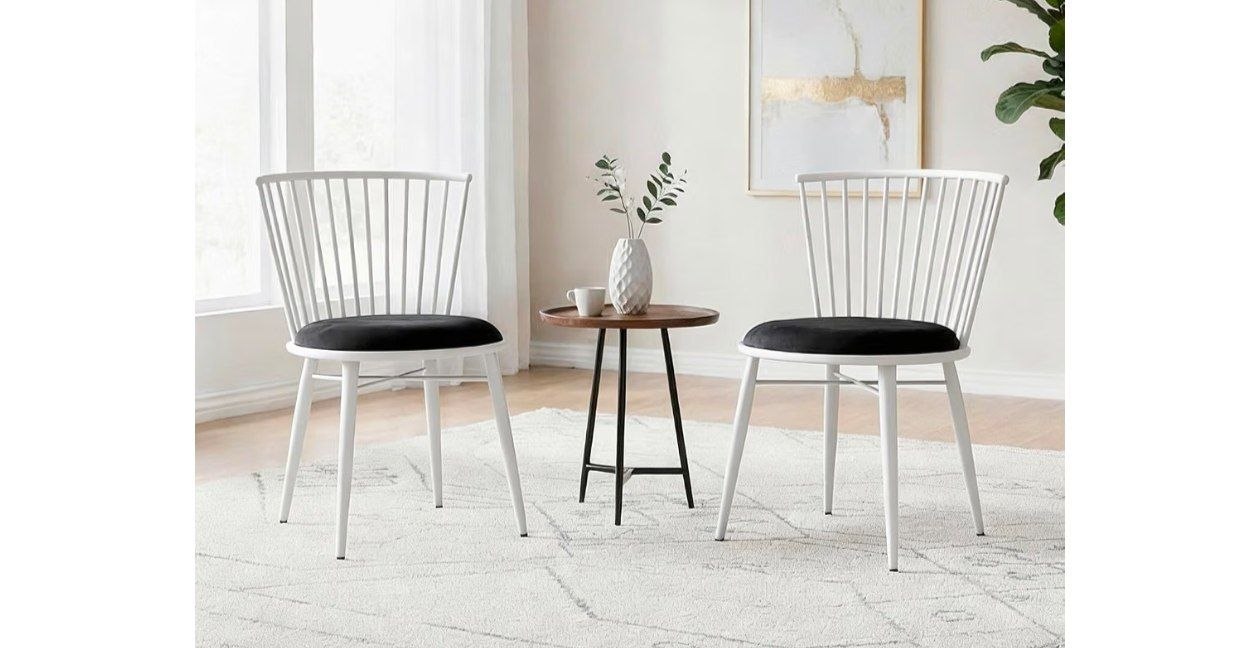 Solimo Iron Chair With Cushioned Seat Set Of 2 2902 Regular 4200