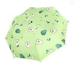 Umbrella At Rs 499