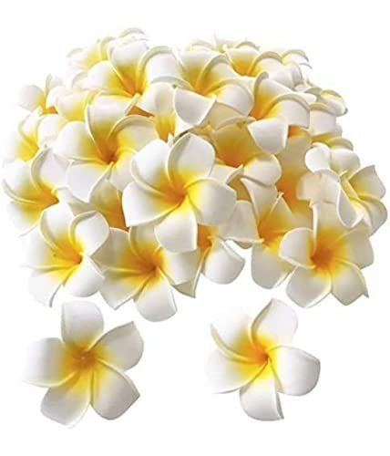 Vrb Dec Artificial Gbig Foam Hawaaii Fake Foa