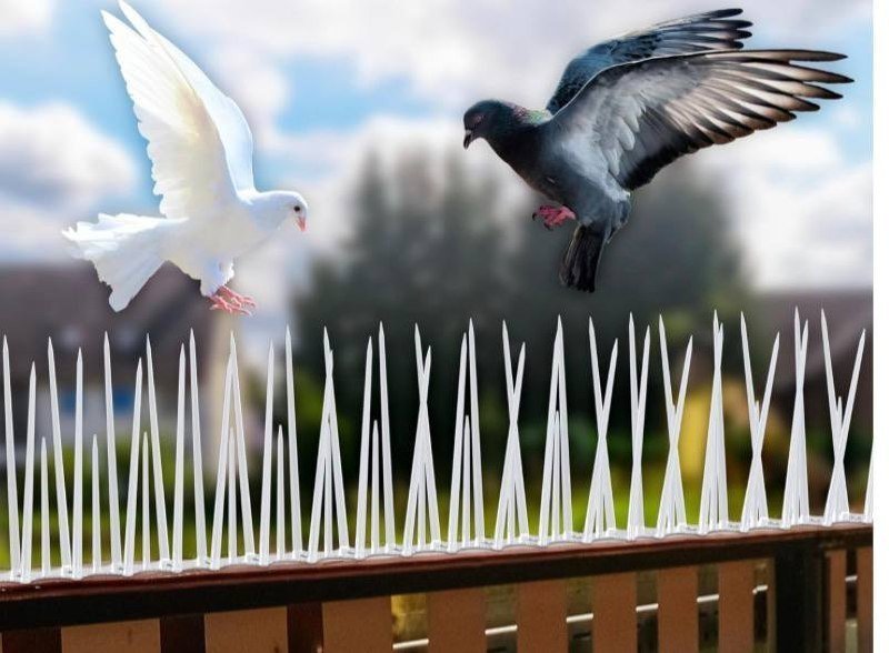 Eightiz (10 Pcs With Zip Ties) Bird And Pigeon Spikes Control Anti 299 Reg 489