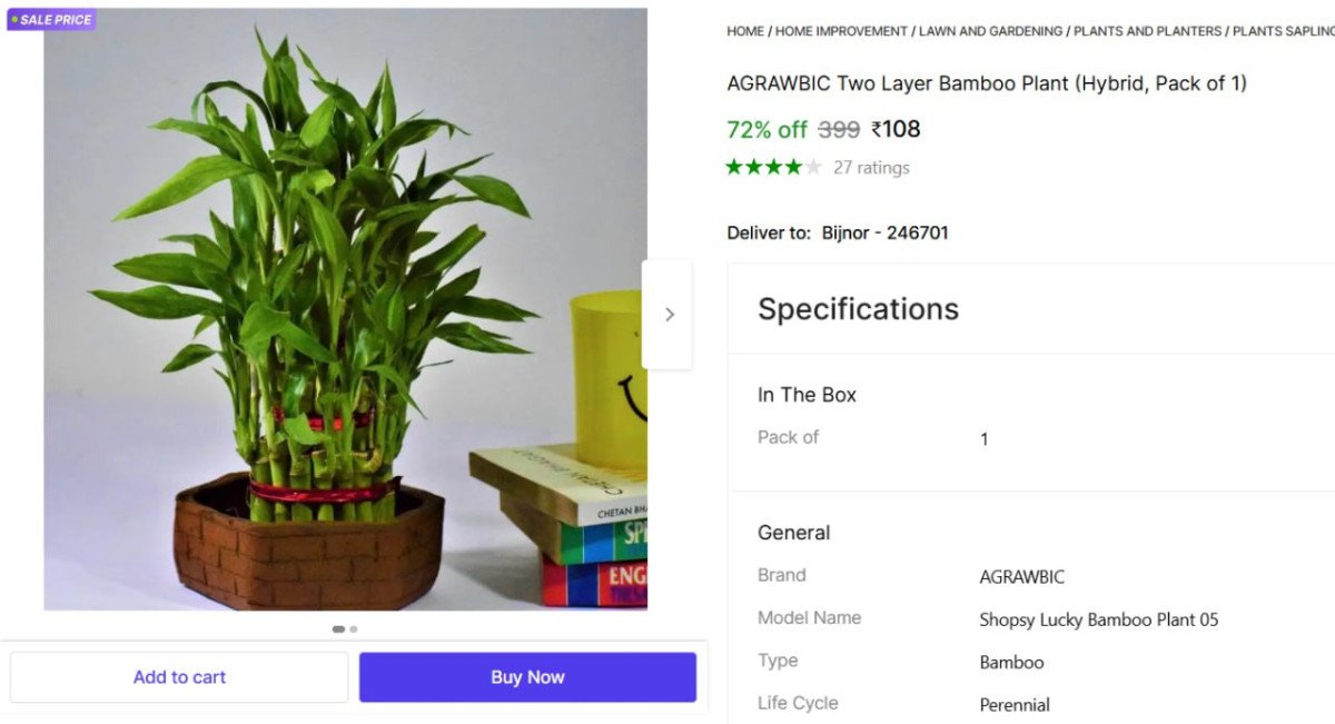 Bamboo Plant @ ₹108

👉