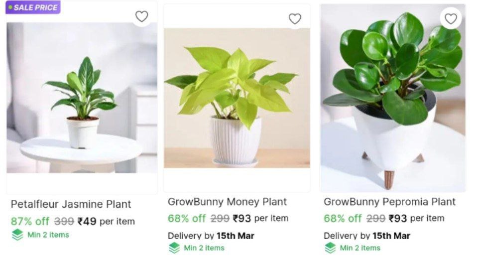 Plant Saplings Starts @ ₹49

👉
💙 

More Deals! 👉 