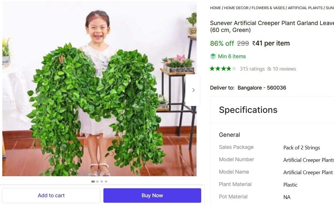 🔥  Artificial Creeper Plant @ ₹41

🔗