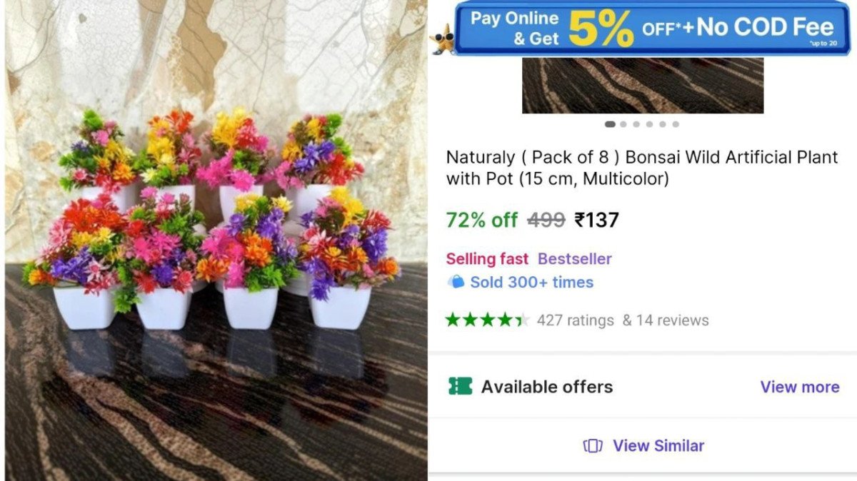 GRAB 🔥Pack Of 8 @₹137

➡️

✅Artificial Plants Wit