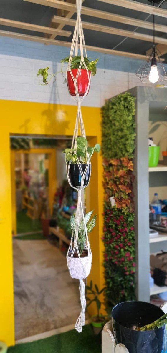 🔥🔥ecofynd Three Tier 1 Pack Macrame Plant Hanger

🎁 Deal Price : ₹228

Buy Here : 

More Details 👉 

📢 Join WhatsApp Deals


#DealsHeaven #LootDeals #BestDeals
