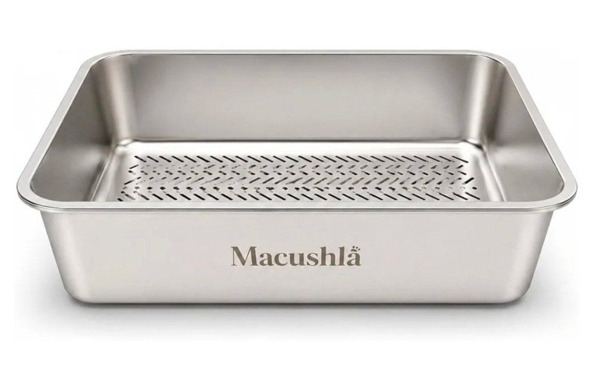 Fast Apply 250 Coupon3745