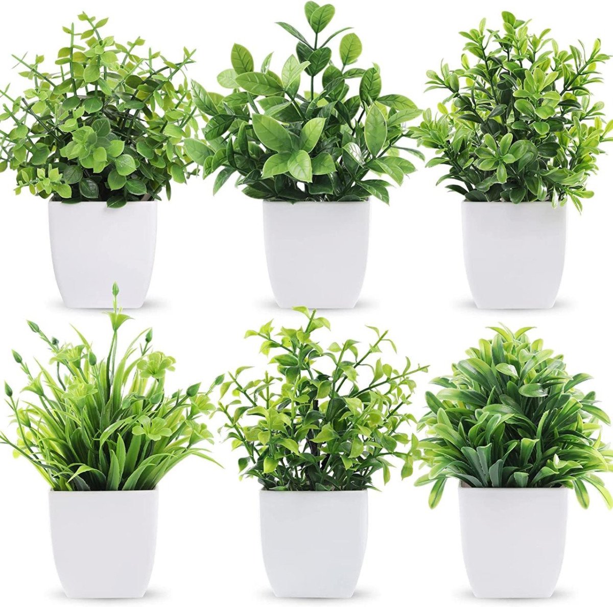 🔥Dekorly® 6 Packs Fake Plants Small, Mini Artificial Plants Indoor for Home Farmhouse Bathroom Shelf Décor

🎁 Deal Price : ₹243

Buy here:

More Details 👉 

📢 Join WhatsApp Deals


#De...