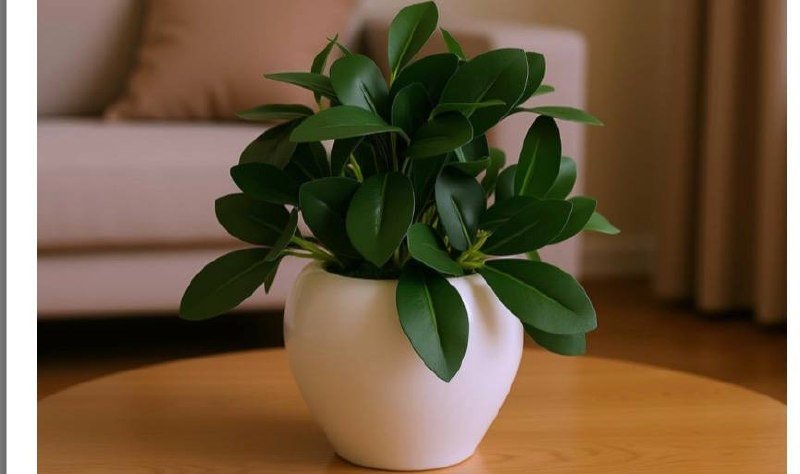 💥fancymart Plastic Artificial Rubber Plant In 4 Inch White Apple Pot 

💰Deal @ 282🔥.❌Reg @ 499

🔗 

More Details 👉 

📢 Join WhatsApp Deals


#DealsHeaven #LootDeals #BestDeals
#dea...