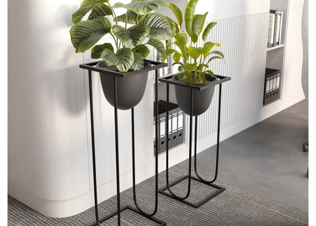 FAST @543



More Details 👉 

📢 Join WhatsApp Deals


#DealsHeaven #LootDeals #BestDeals
#deals 
#budgetfriendly 
#hotdeals
#trending
#dealoftheday