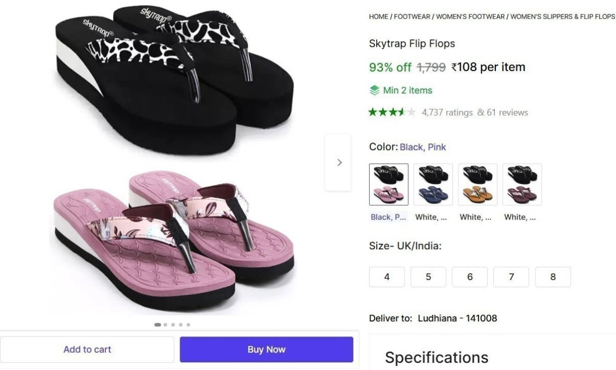 Flip Flops Slippers 108