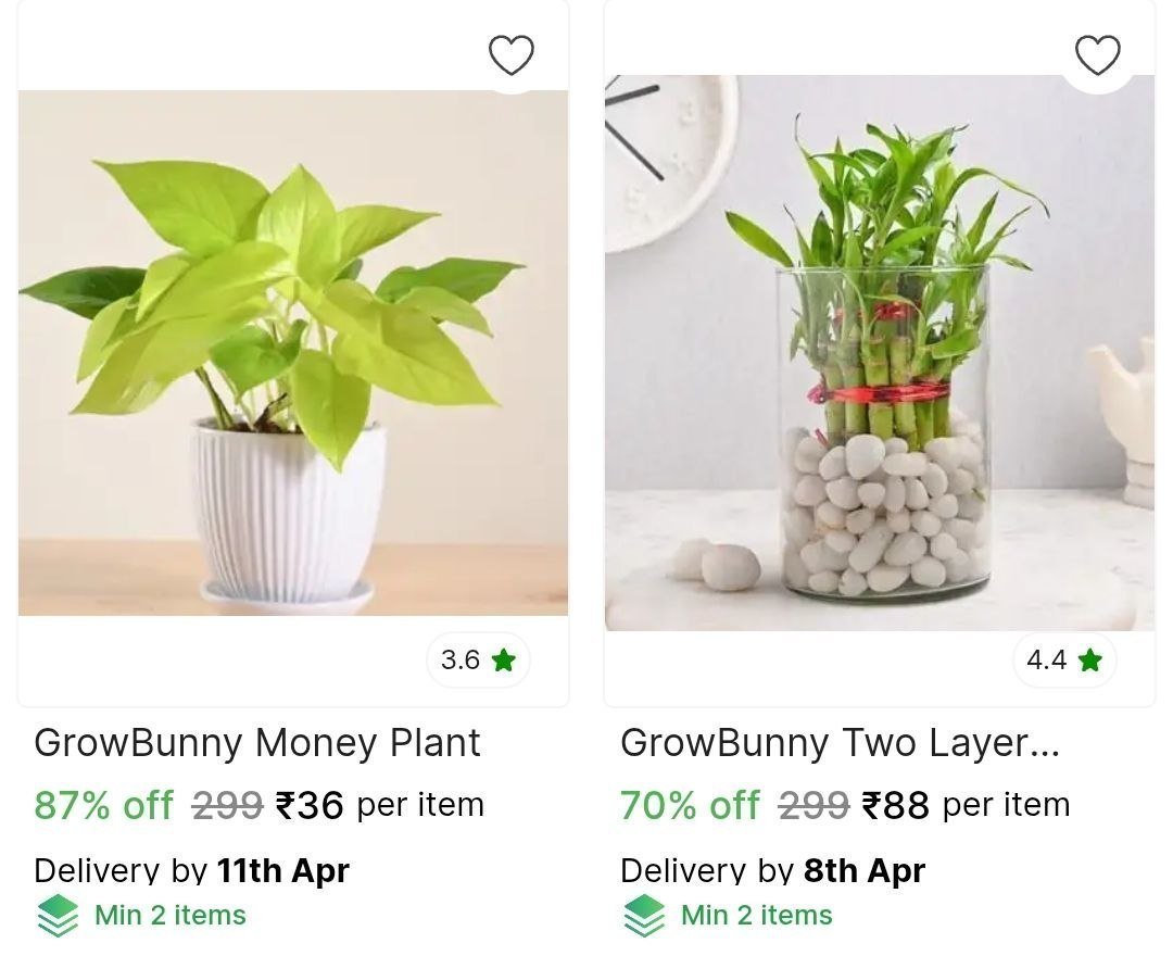 Plant Saplings Starts 36 Check Min Buy Quantity