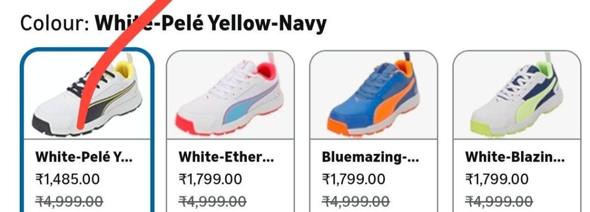 Puma Men Cricket Highrun Cricket Shoe 1485other Colour Costs More