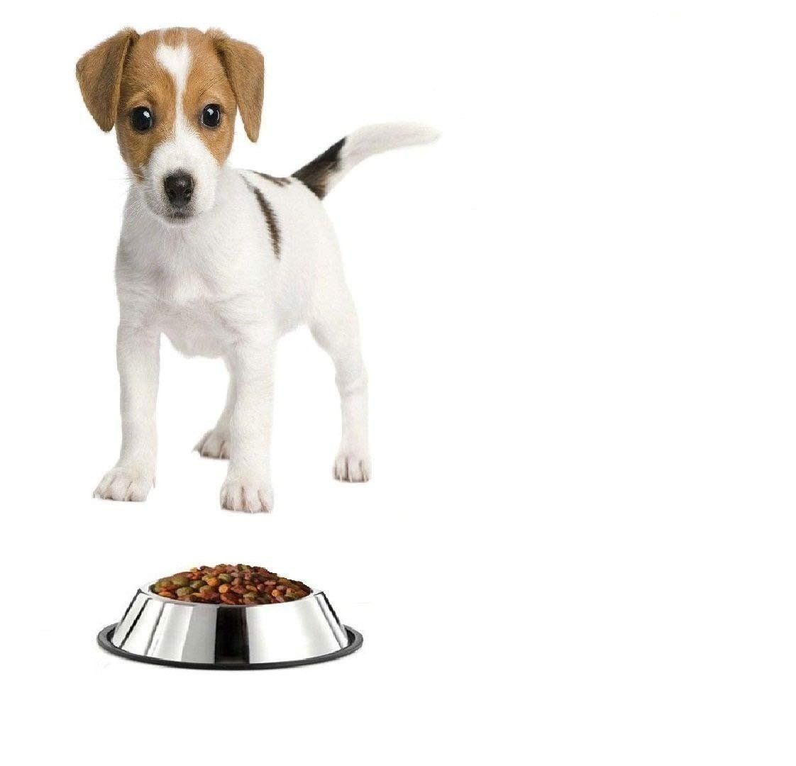 Pets Empire Steel Dog Feeding Bowl (x Small) 108