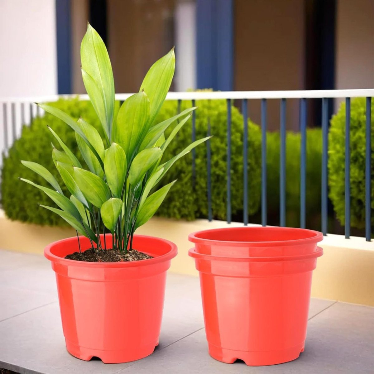 Kuber Industries (pack Of 3) Flower Pot 151