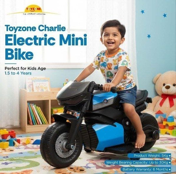 Loot Electric Mini Bike 1593