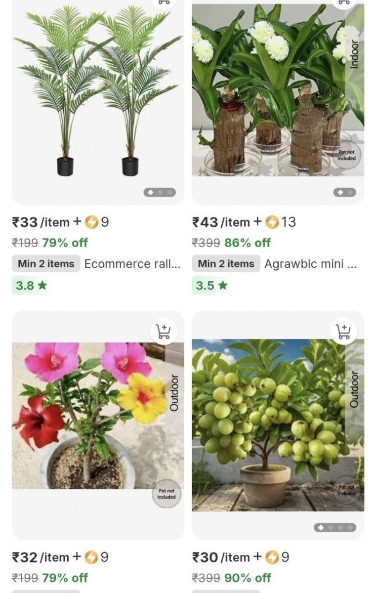 Loot Sapling Plant 30