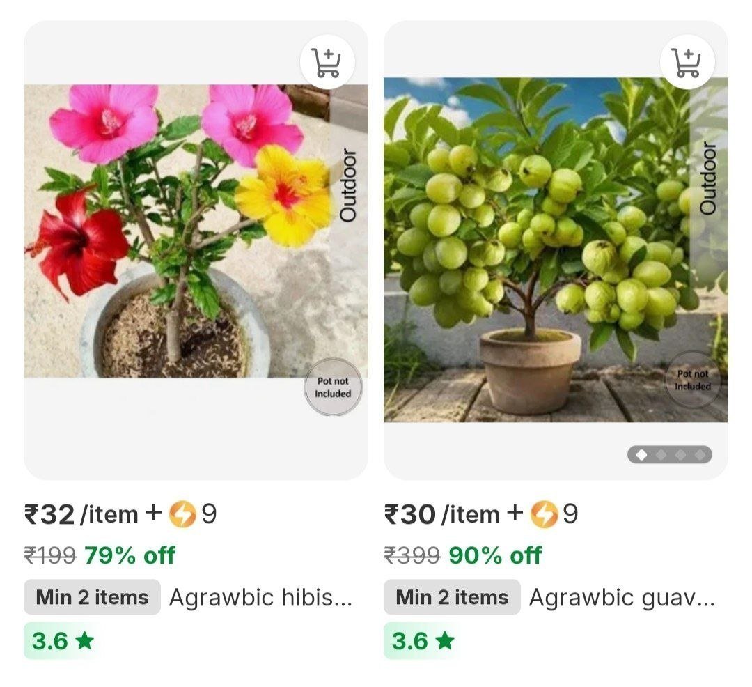 Loot Sapling Plant From 30min 2