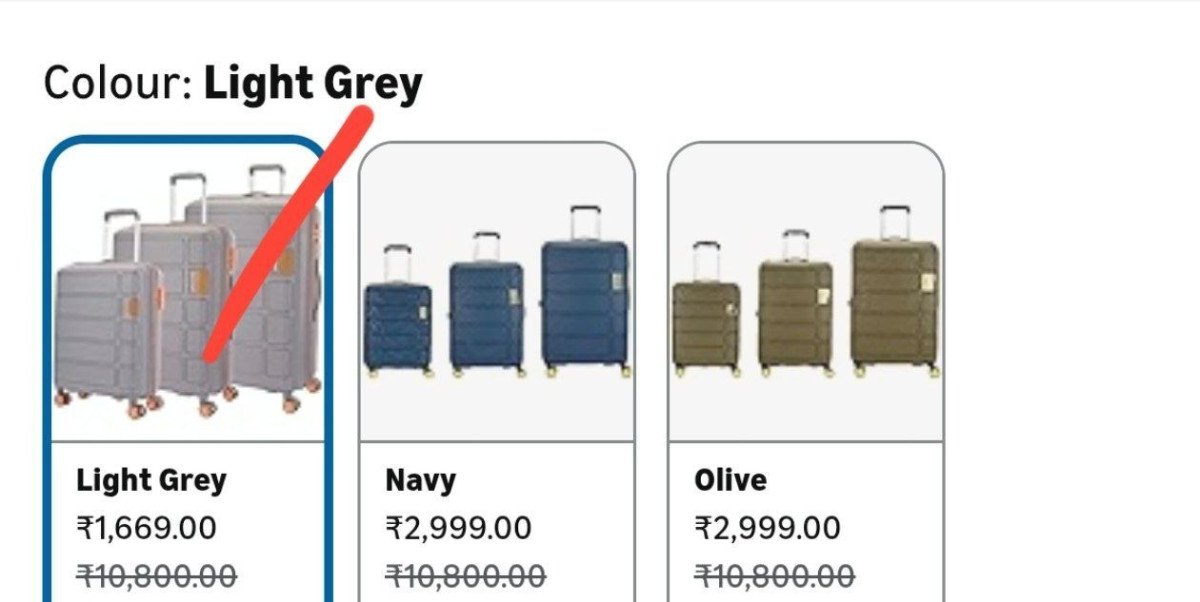 Grabkamiliant American Touristertrolley Bag 1