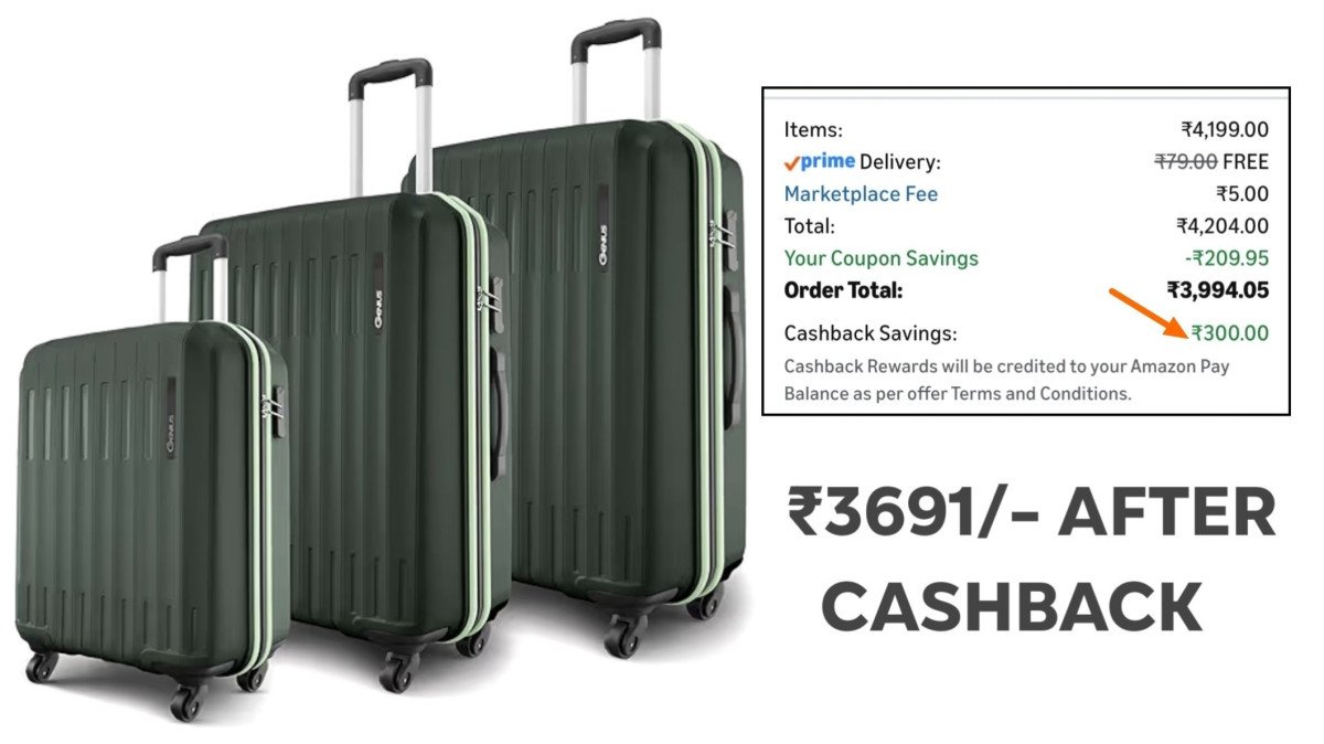 Loot Safari Set Of 3 (cabin Medium Large) Tro