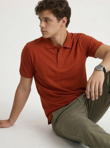 Peter England Polo Collar T-shirt 399