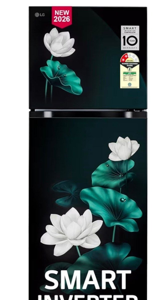 Lg 251 L 2 Star Smart Inverter Double Door Refrige